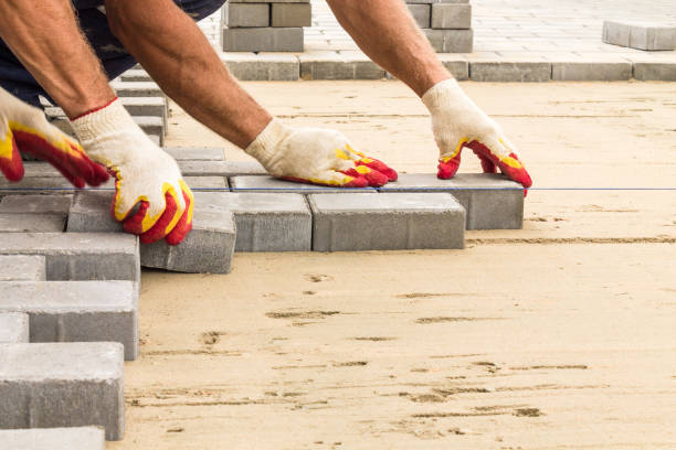 Best Driveway Repair Near Me  in Grand Meadow, MN